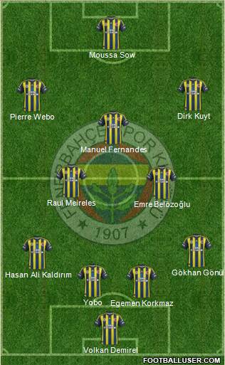 Fenerbahçe SK Formation 2013