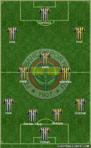 Fenerbahçe SK Formation 2013