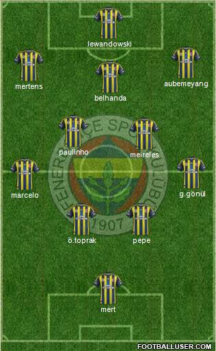 Fenerbahçe SK Formation 2013