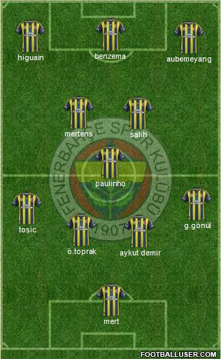Fenerbahçe SK Formation 2013