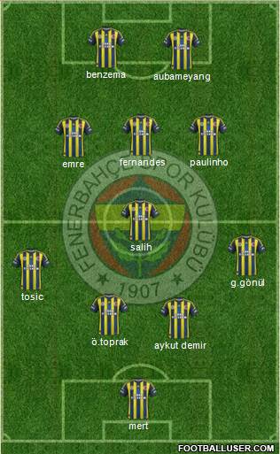 Fenerbahçe SK Formation 2013