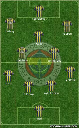 Fenerbahçe SK Formation 2013