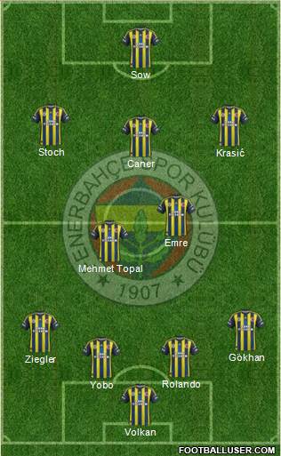 Fenerbahçe SK Formation 2013