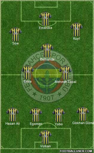 Fenerbahçe SK Formation 2013
