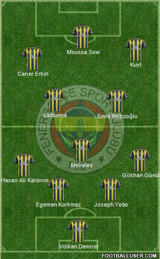 Fenerbahçe SK Formation 2013