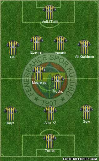 Fenerbahçe SK Formation 2013