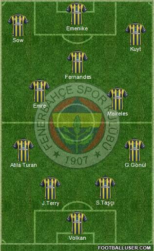 Fenerbahçe SK Formation 2013