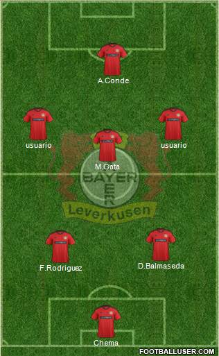 Bayer 04 Leverkusen Formation 2013