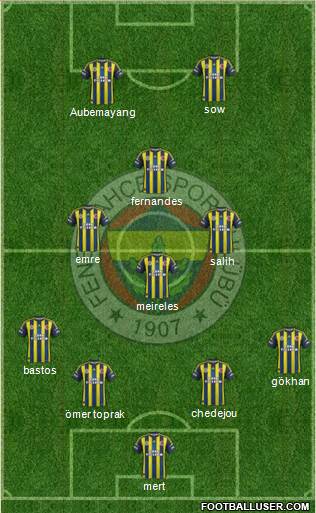 Fenerbahçe SK Formation 2013
