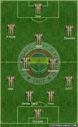 Fenerbahçe SK Formation 2013