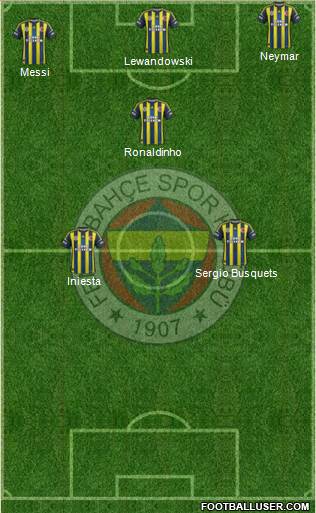 Fenerbahçe SK Formation 2013
