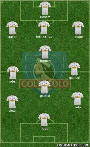 CSD Colo Colo Formation 2013
