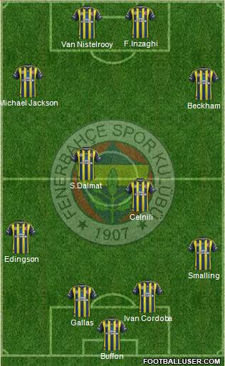 Fenerbahçe SK Formation 2013