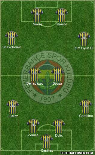 Fenerbahçe SK Formation 2013
