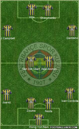 Fenerbahçe SK Formation 2013