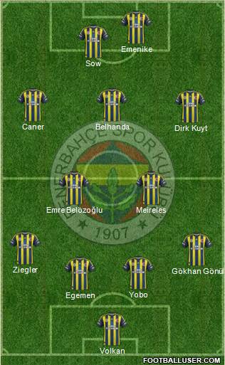 Fenerbahçe SK Formation 2013