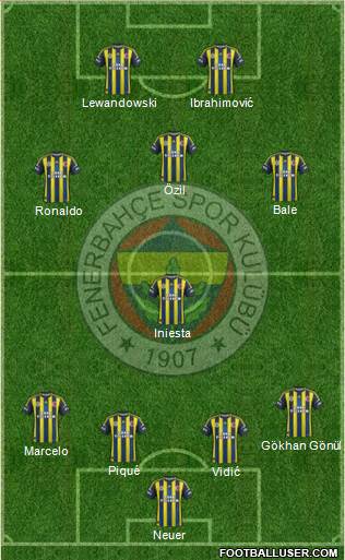 Fenerbahçe SK Formation 2013
