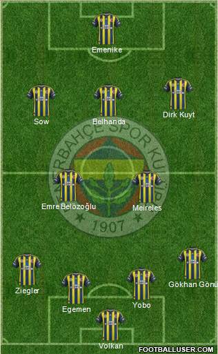 Fenerbahçe SK Formation 2013
