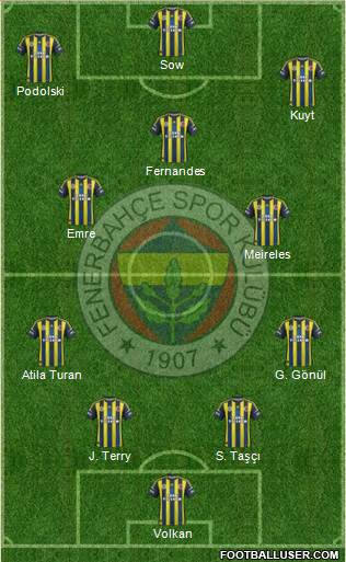 Fenerbahçe SK Formation 2013