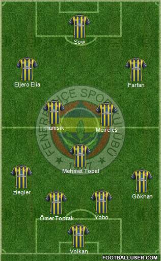 Fenerbahçe SK Formation 2013