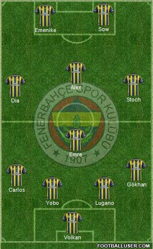 Fenerbahçe SK Formation 2013