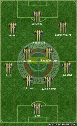 Fenerbahçe SK Formation 2013