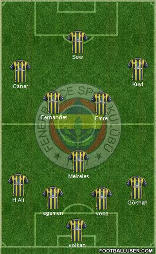 Fenerbahçe SK Formation 2013