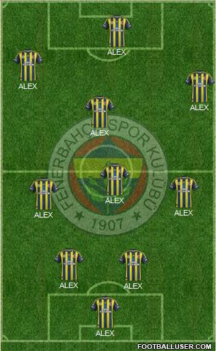 Fenerbahçe SK Formation 2013