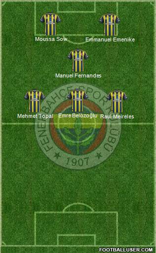 Fenerbahçe SK Formation 2013