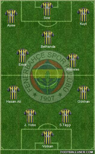 Fenerbahçe SK Formation 2013