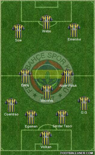 Fenerbahçe SK Formation 2013
