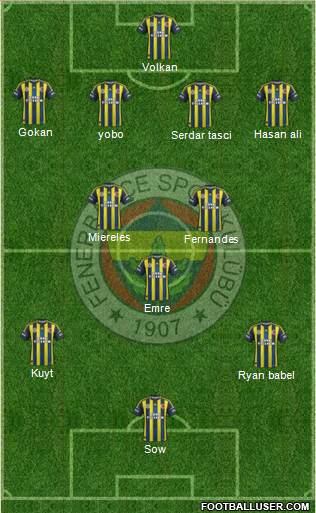 Fenerbahçe SK Formation 2013