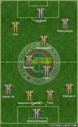 Fenerbahçe SK Formation 2013