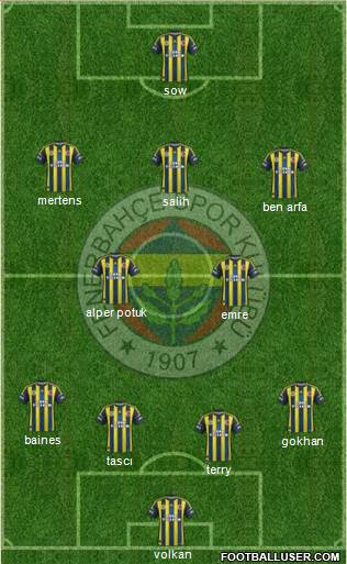 Fenerbahçe SK Formation 2013