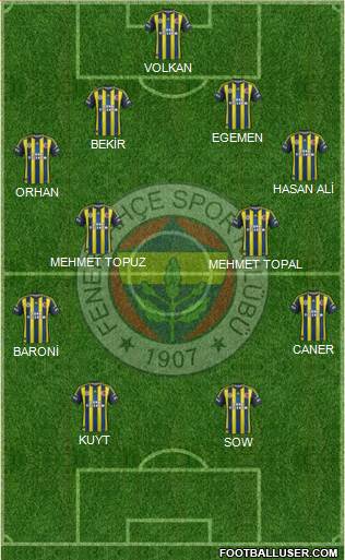 Fenerbahçe SK Formation 2013
