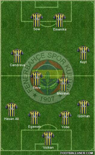 Fenerbahçe SK Formation 2013