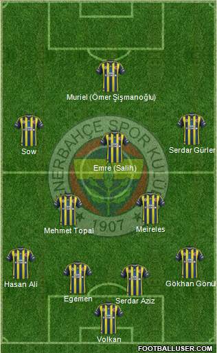 Fenerbahçe SK Formation 2013
