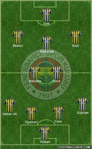 Fenerbahçe SK Formation 2013