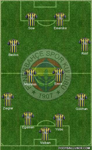 Fenerbahçe SK Formation 2013