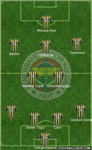 Fenerbahçe SK Formation 2013