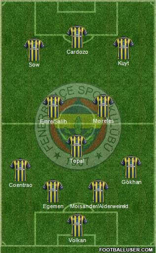 Fenerbahçe SK Formation 2013