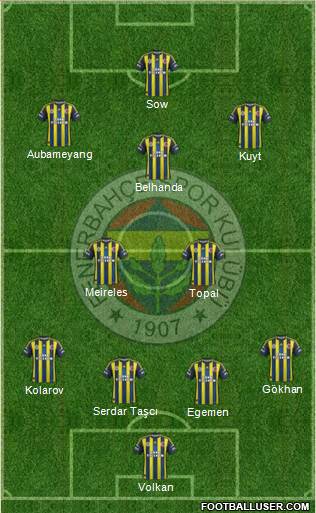 Fenerbahçe SK Formation 2013