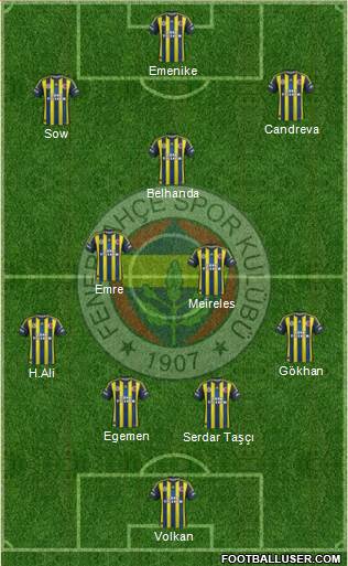 Fenerbahçe SK Formation 2013