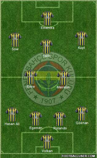 Fenerbahçe SK Formation 2013
