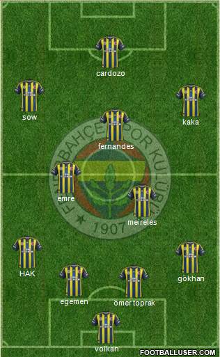Fenerbahçe SK Formation 2013