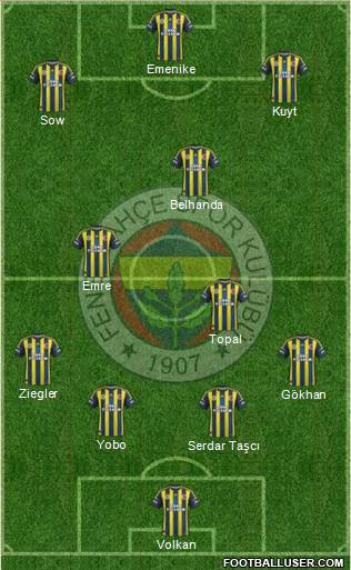 Fenerbahçe SK Formation 2013