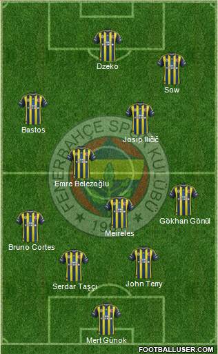 Fenerbahçe SK Formation 2013
