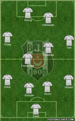 Besiktas JK Formation 2013