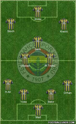 Fenerbahçe SK Formation 2013