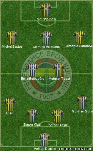 Fenerbahçe SK Formation 2013